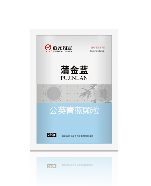 蒲金蓝消炎颗粒