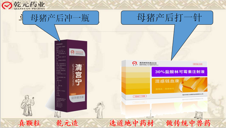 母猪产后保健