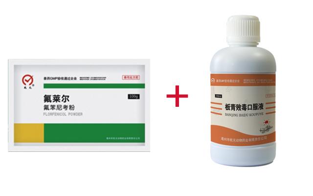 新氟组合
