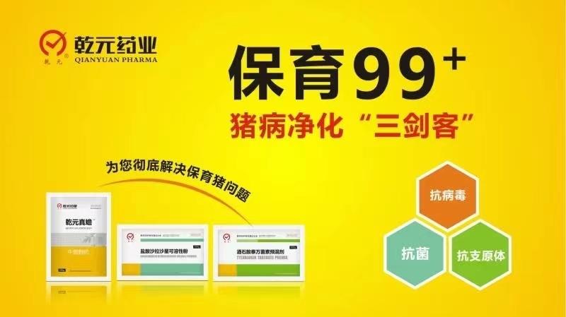保育99+