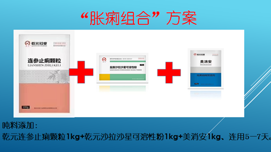 “胀痢组合”方案