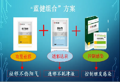 蓝健组合