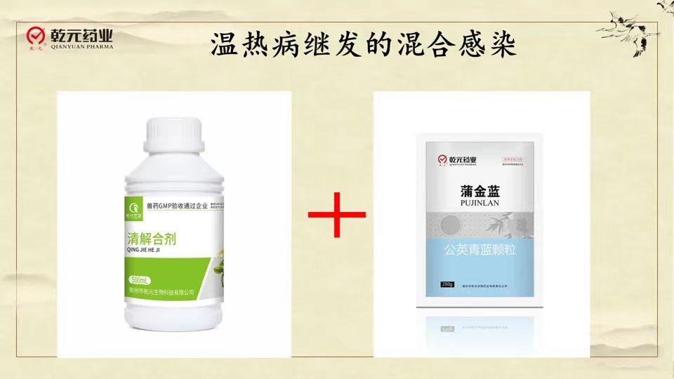 中药治疗混合感染