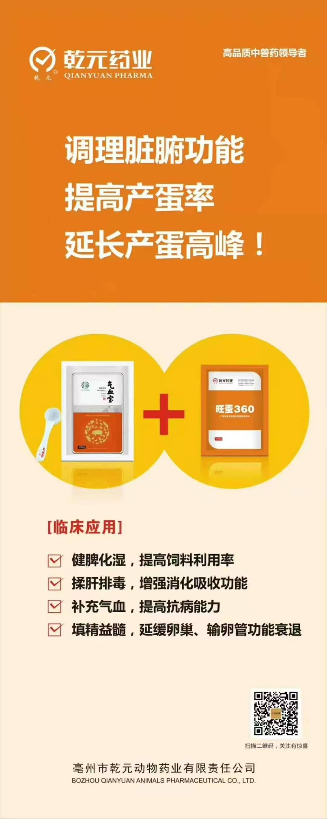气血+旺蛋组合